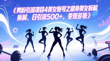 男粉引流项目4美女账号之健身美女拆解，日引流500+，变现多张-大齐资源站