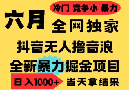 25年6月高爆抖音无人直播最新撸音浪掘金项目，小白可做，无脑日入1k+，门槛低可批量矩阵【揭秘】-大齐资源站