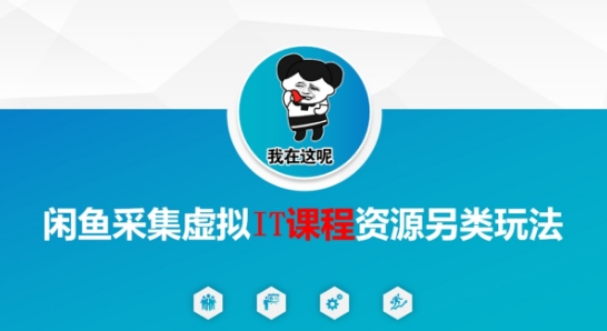 闲鱼采集虚拟IT课程资源另类玩法，干货满满-大齐资源站