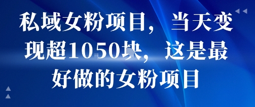 私域女粉项目，当天变现超1k，这是最好做的女粉项目，可放大操作-大齐资源站