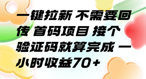 一键拉新 不需要回传 首码项目 接个验证码就算完成 一小时收益70+【揭秘】-大齐资源站