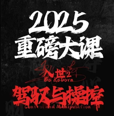2025重磅大课，入世2，驾驭与控制-大齐资源站
