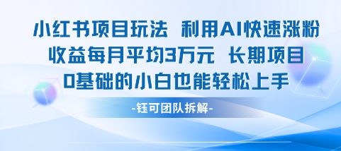 适合小白操作的小红书新项目，利用AI快速涨粉，收益每月平均1W+-大齐资源站
