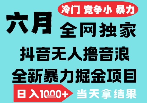2025年6月高爆抖音无人直播最新撸音浪掘金项目，无脑日入1k+，低门槛小白可做，可矩阵放大【揭秘】-大齐资源站