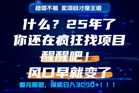 什么？25年你还在疯狂找项目做，醒醒吧，看完这些你全都懂了！【揭秘】-大齐资源站