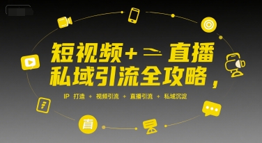 短视频+直播私域引流全攻略，IP打造 +视频引流 +直播引流 +私域沉淀-大齐资源站
