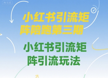 小红书引流矩阵陪跑第三期，小红书引流矩阵引流玩法-大齐资源站