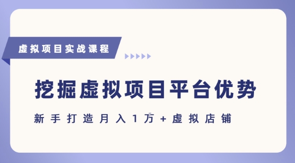抓住虚拟项目各平台优势，新手轻松月入1W+(给出具体建议)-大齐资源站