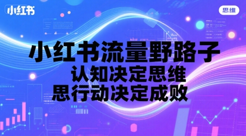 小红书流量野路子，认知决定思维，思维决定行动，行动决定成败-大齐资源站