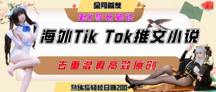 海外tiktok小说推文暴力项目，高停留率，高转化率，上手后一天搞顿饭钱不是问题-大齐资源站
