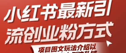 小红书最新引流创业粉方式，项目图文玩法介绍以及如何安全倒流私域-大齐资源站