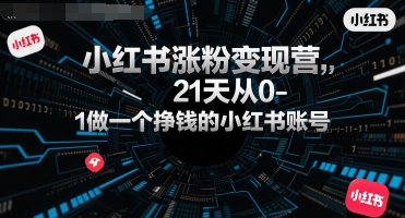 小红书涨粉变现营，21天从0-1做一个挣钱的小红书账号-大齐资源站