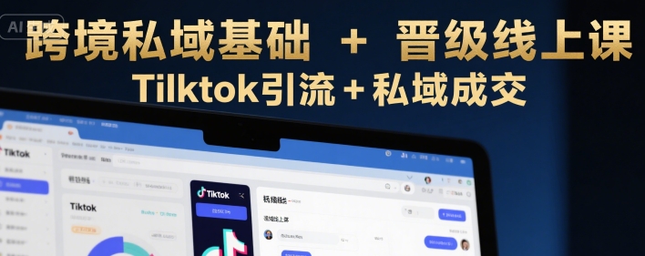 跨境私域基础+晋级线上课，Tilktok引流+私域成交-大齐资源站