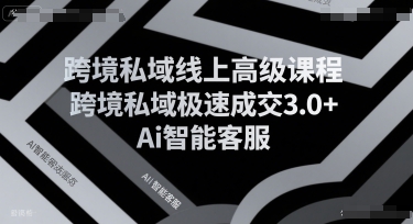 跨境私域线上高级课程，跨境私域极速成交3.0+Ai智能客服-大齐资源站