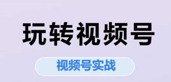 玩转视频号，视频号实战系列课-大齐资源站
