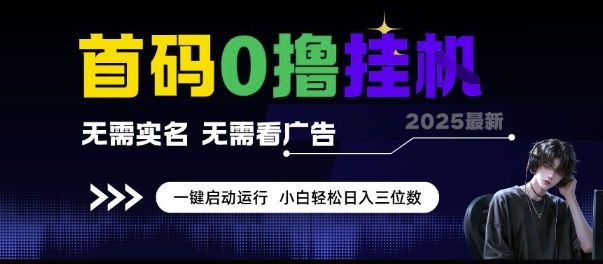 首码0撸挂G项目，无需实名无需看广告 一键启动运行，小白轻松日入三位数【揭秘】-大齐资源站