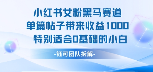 小红书女粉黑马赛道单篇帖子带来收益1k+，特别适合0基础的小白-大齐资源站
