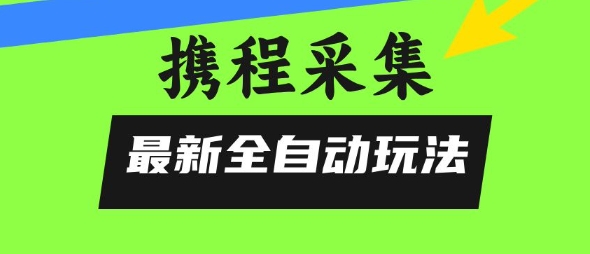 携程信息采集全自动玩法，0风控，无脑开干【揭秘】-大齐资源站