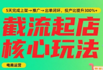 淘宝截流快速起店玩法，掌握暴力快速起店的流程，5天完成上架-推广-出单闭环-大齐资源站