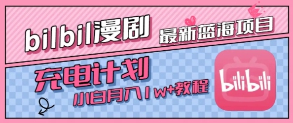 最新蓝海项目，B站充电计划，小白也能月入1w+-大齐资源站