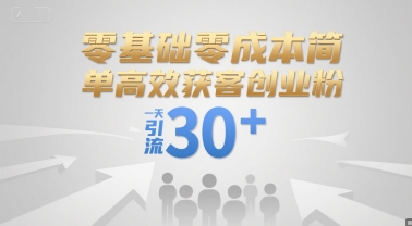 零基础零成本简单高效获客创业粉，一天引流30+-大齐资源站