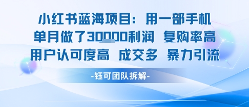 小红书蓝海项目，一部手机单月做了3W利润，小白也能月入过1W用户认可度高成交多-大齐资源站