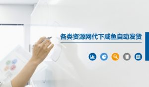 各类资源网代下咸鱼自动发货-大齐资源站