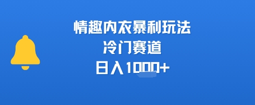 情趣内衣暴利玩法，冷门赛道，日入1k+-大齐资源站