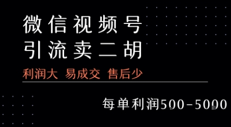 视频号卖二胡教程，利润大 易成交 售后少，一单利润5张+-大齐资源站