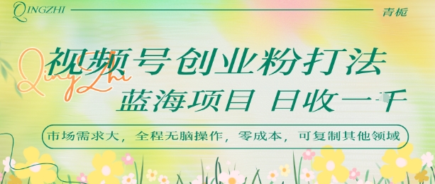 视频号创业粉打法，日入1k，蓝海项目，市场需求大，全程无脑操作，可复制-大齐资源站