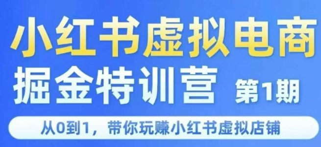 小红书虚拟电商掘金特训营第1期，从0到1，带你玩转小红书虚拟店铺-大齐资源站