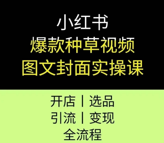 小红书爆款种草视频图文封面实操课，开店、选品、引流、变现全流程-大齐资源站