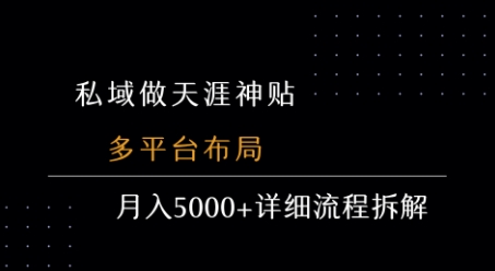 私域做天涯神贴 多平台布局 月入5k+详细流程拆解-大齐资源站