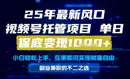 25年最新风口，视频号托管项目，单日保底变现1k+，手把手教学【揭秘】-大齐资源站