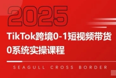 TikTok跨境0-1短视频带货，系统拆解TikTok跨境带货全链路，实现跨境可持续盈利-大齐资源站