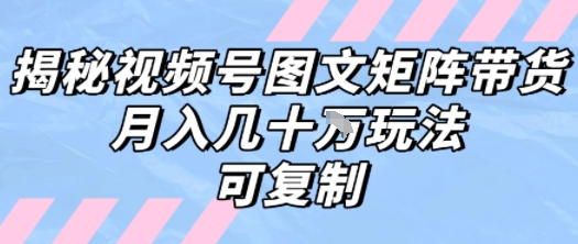 解密视频号图文矩阵带货，月入几个W的打法，可复制-大齐资源站