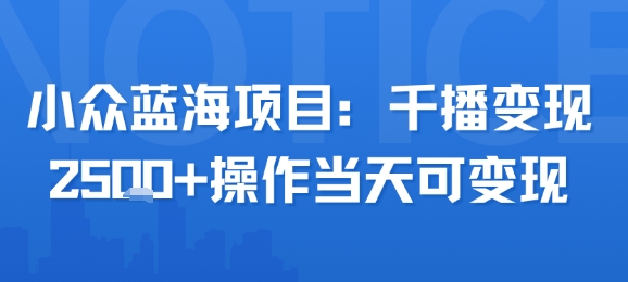 小众蓝海项目，千播变现2.5k+操作当天可变现-大齐资源站