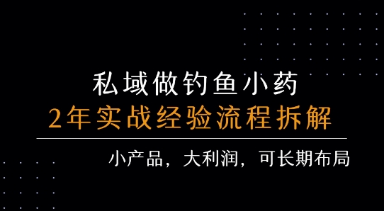 私域做钓鱼小药 每单利润3张+ 详细流程拆解-大齐资源站