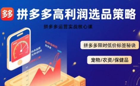 拼多多选品暴利技术实战课，拼多多高利润选品策略，拼多多限时低价标签秘诀-大齐资源站