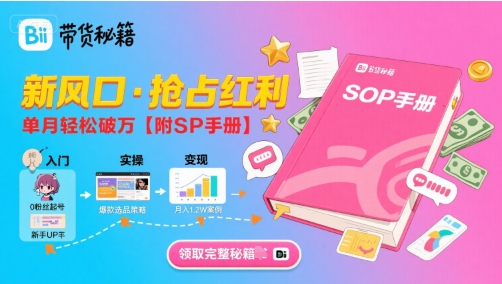 B站哔哩哔哩带货秘籍，新风口，抢占红利，单月轻松破万【附SOP手册】-大齐资源站