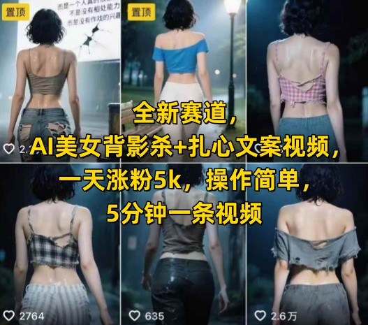 全新赛道，AI美女背影杀+扎心文案视频，一天涨粉5k，操作简单，5分钟一条视频-大齐资源站