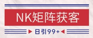 小红书某音NK赛道引流获客 自热矩阵日引200+【揭秘】-大齐资源站