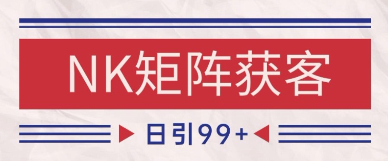 小红书某音NK赛道引流获客 自热矩阵日引200+【揭秘】-大齐资源站