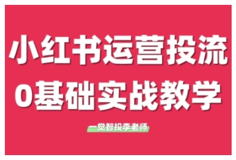 小红书运营投流，小红书广告投放从0到1的实战课，学完即可开始投放（更新）-大齐资源站