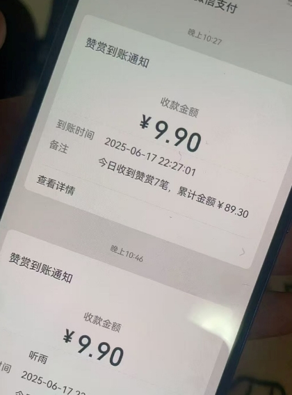 二次元男粉快速变现项目，私域卖虚拟产品，百分利润-大齐资源站