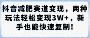 抖音减肥赛道变现，两种玩法轻松变现3W+，新手也能快速复制-大齐资源站