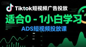 Tiktok短视频广告投放，适合0-1小白学习ADS短视频投放课-大齐资源站