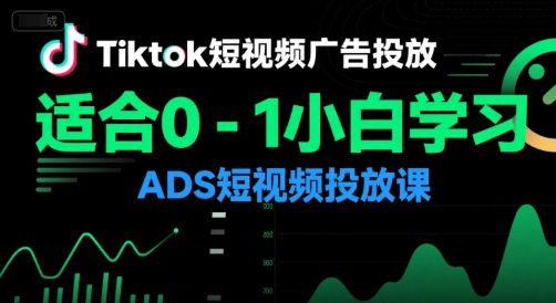 Tiktok短视频广告投放，适合0-1小白学习ADS短视频投放课-大齐资源站