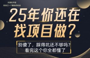 25年，你还在疯狂的找项目吗？别傻了，看完这个你都懂了【揭秘】-大齐资源站