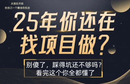 25年，你还在疯狂的找项目吗？别傻了，看完这个你都懂了【揭秘】-大齐资源站